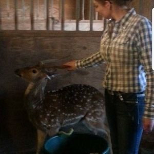 Meet your Posher, Shelly